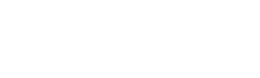 KRISS logo vit3